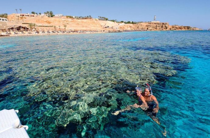 Готелі Reef Oasis 5* за СУПЕР ціною!