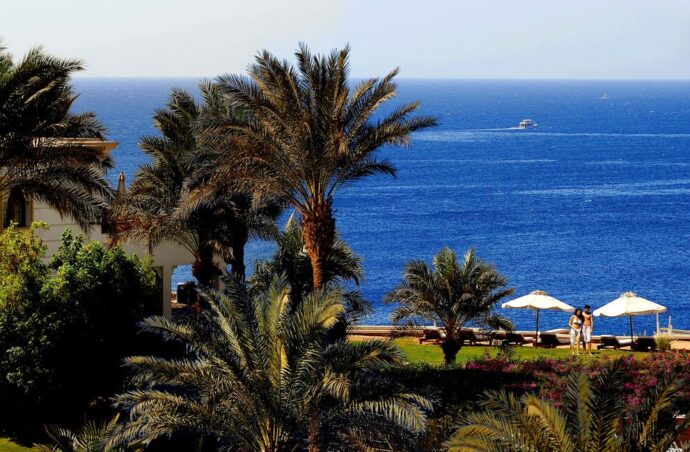 Готелі Reef Oasis 5* за СУПЕР ціною!