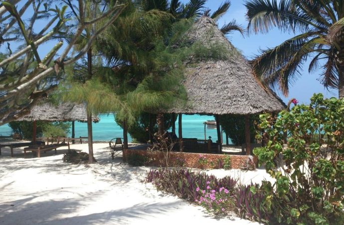 Hakuna matata на Занзібарі!!!Tanzanite Beach Resort 3*