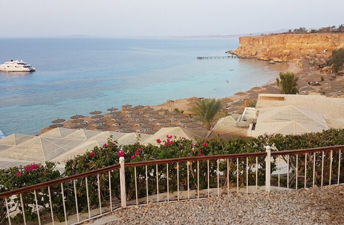 Готелі Reef Oasis 5* за СУПЕР ціною!