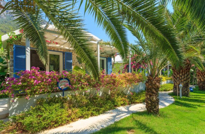 Flamingo Hotel Oludeniz 4 * (Туреччина) – “Green love”